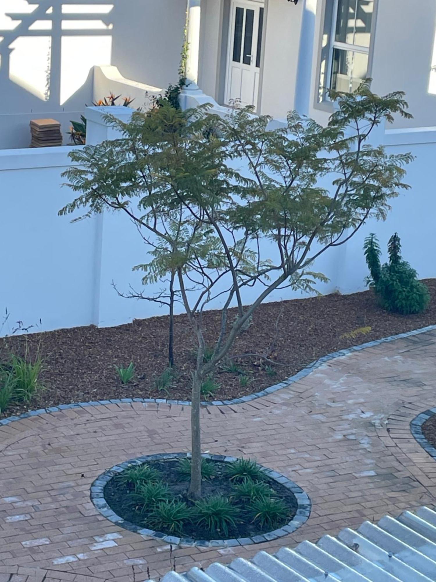 Largest One Bed Apartment & Private Pool In The Hoek Franschhoek Exteriör bild