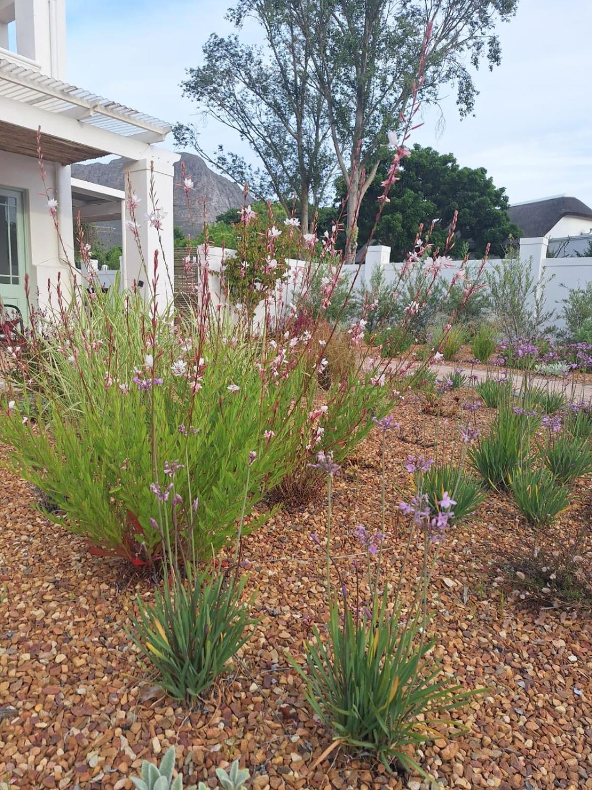 Largest One Bed Apartment & Private Pool In The Hoek Franschhoek Exteriör bild